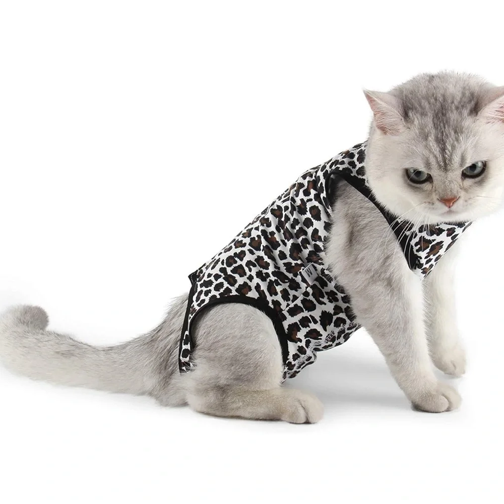 Leopard Print Cat Sweater